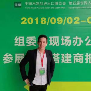China Linyi International Wood Industry Expo